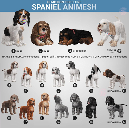 SEmotion Libellune Spaniel Animesh #10 UNCOMMON
