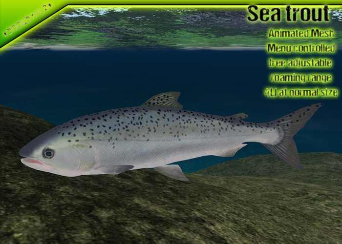 *SnoWStylZ* Sea trout animated mesh fish