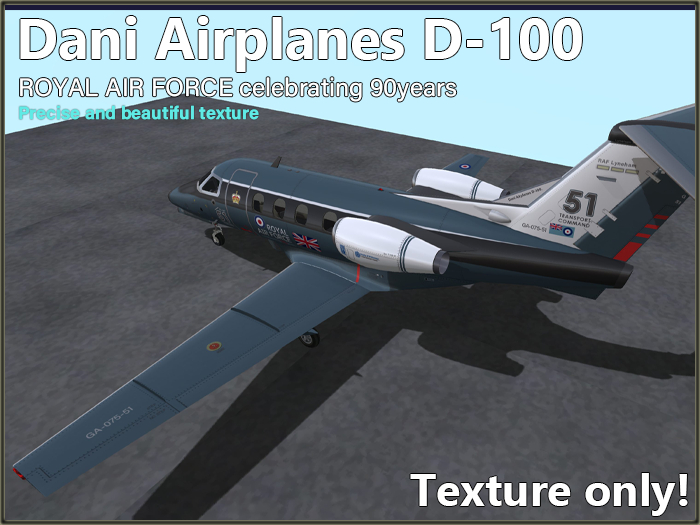Paint Ext. D-100 (RAF 90years)