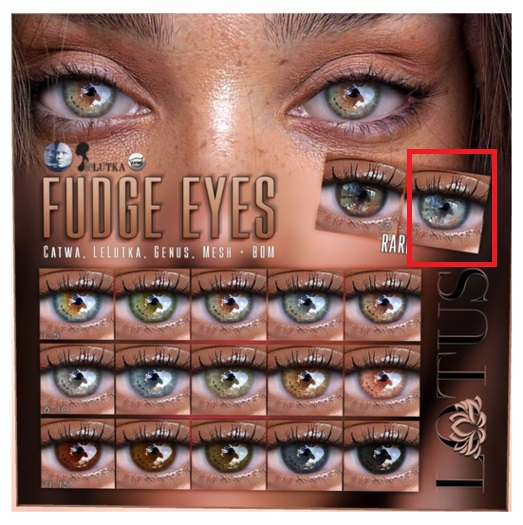 LOTUS. Fudge Eyes 17 (BOM) RARE