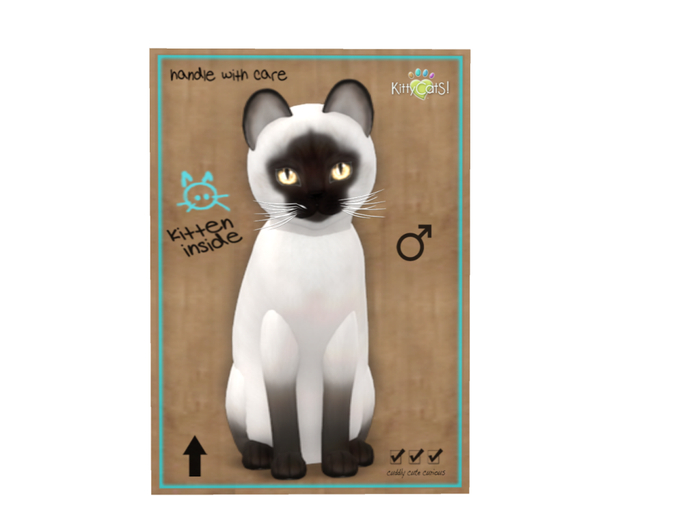 KittyCatS Box - 9 T - M - Siamese - Chocolate
