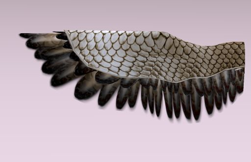Valkyrie Designed Bronze Scale Teegle Pegasus Wings Applier Box