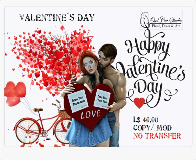 **Studio Owl Cat**  - Valentine day 