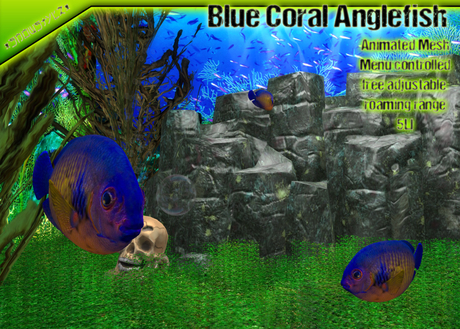 Second Life Marketplace - *SnoWStylZ* Blue Coral Angelfish animated ...