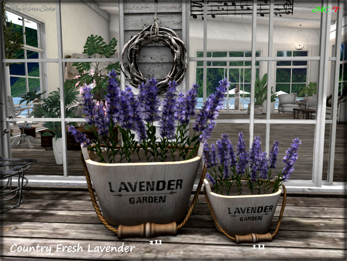 Lavender Planter