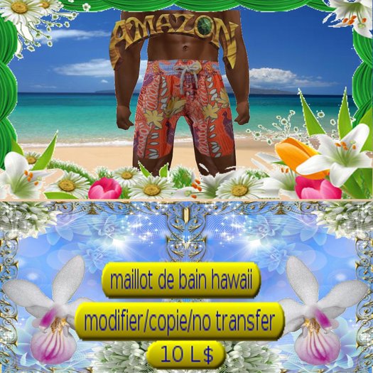 maillot de bain hawaii 03