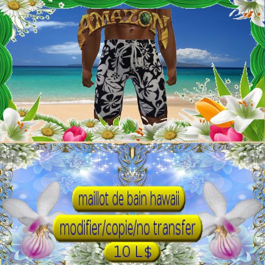 maillot de bain hawaii 05