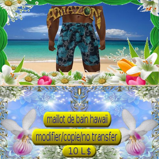 maillot de bain hawaii 06