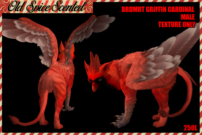 [OSS] BRD GRF - Cardinal Male