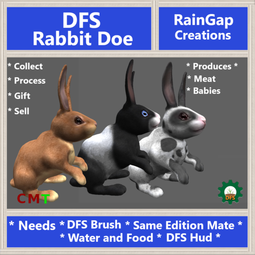 DFS Rabbit Doe (0 days old) ACTUAL ITEM