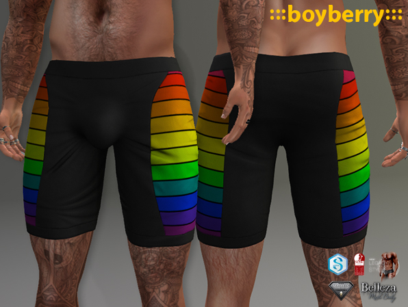 boyberry Long Gym Shorts Pride