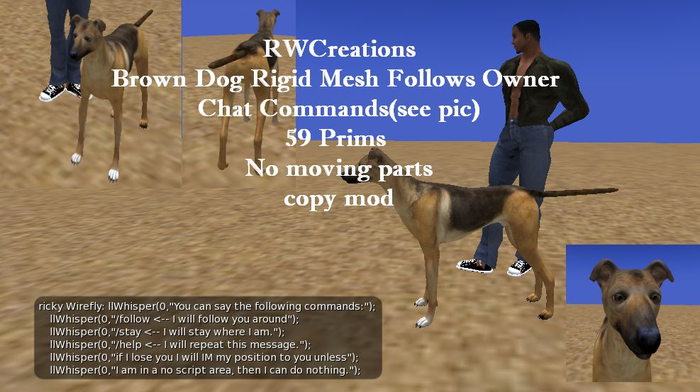 Dog Rigid Mesh Follows Owner Chathat Commandst  (boxed}