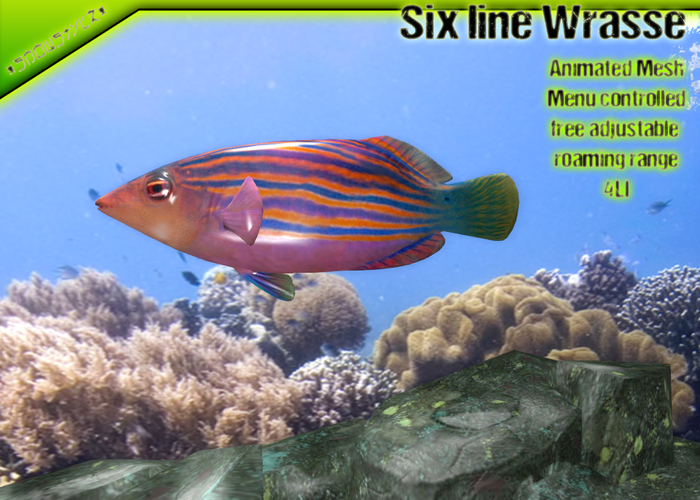 *SnoWStylZ* Six Line Wrasse animated mesh fish