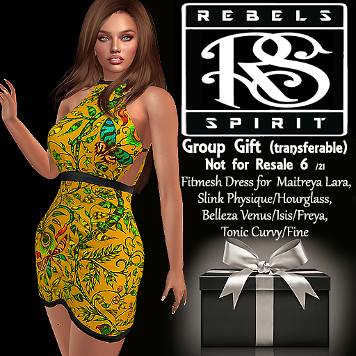 RebelsSpirit - GroupGift NotForSale 06/21