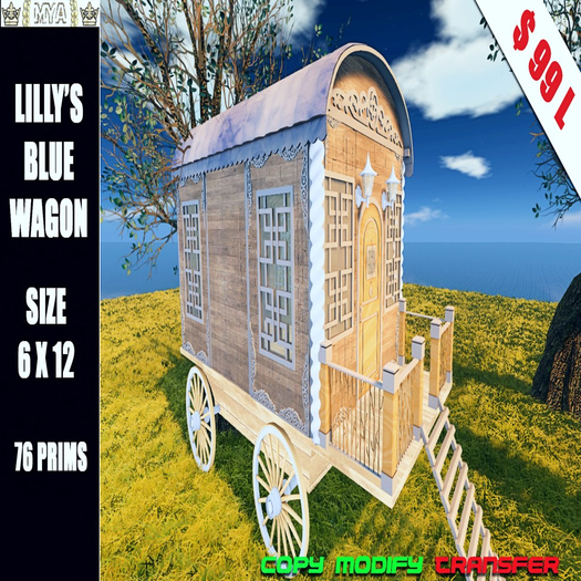 Lilly's Blue Wagon