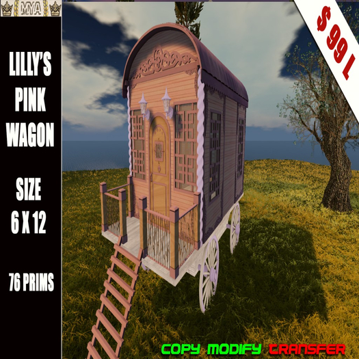 Lilly's Pink Wagon