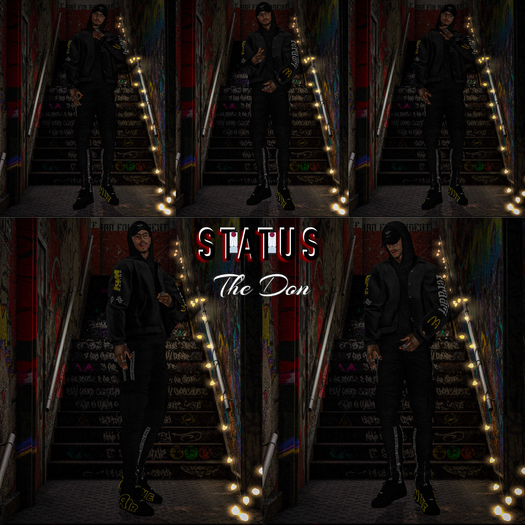 STATUS ~ The Don Posepack