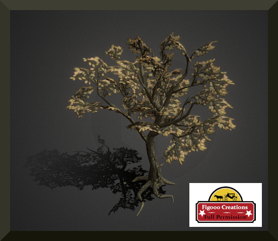 Pianta  Tree