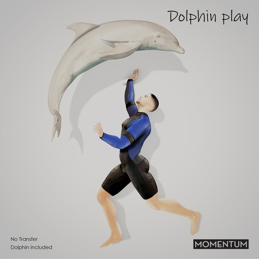 Momentum - Dolphin Play