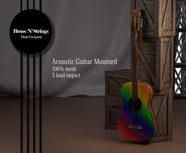 Acoustic Guitar PRIDE Mounted [BnS]