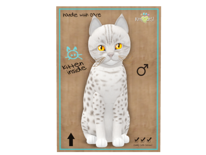 KittyCatS Box - 9T - M - Ocicat - Platinum