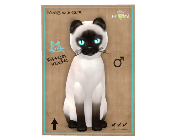KittyCatS Box - 8 T - M - Siamese - Seal
