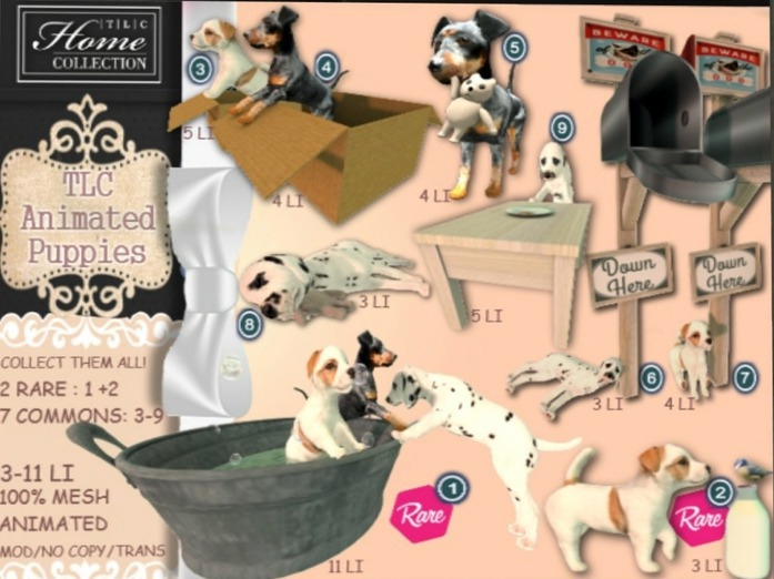 *TLC Puppies 2_RARE