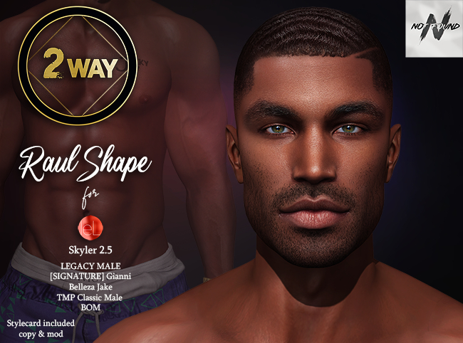 2Way - Raul Shape for Lelutka Skyler Head 2.5 {Add}