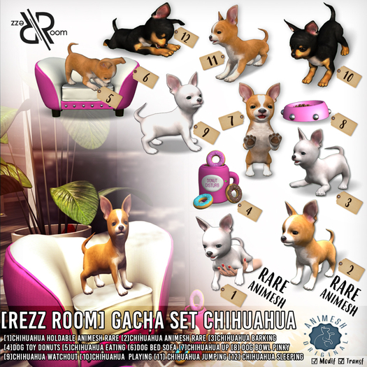 [Rezz Room] Pack Chihuahua Jumping