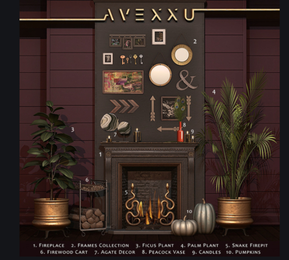 Avexxu : Vitus : Pumpkins