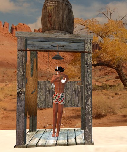 rustic shower farwest western