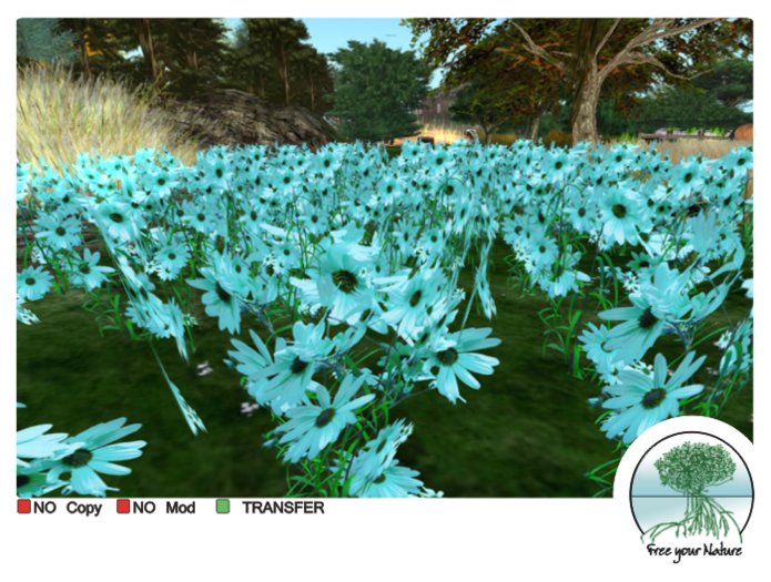  - patch pale blue daisies -