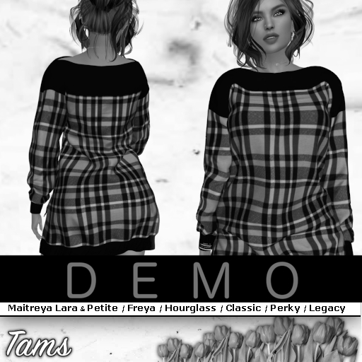 DEMO - Oversized Dress - Jan