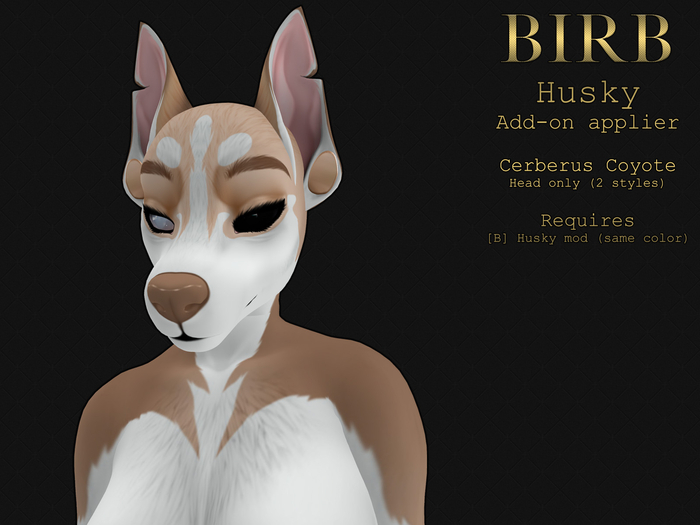 [B] Husky - Latte Coyote Addon