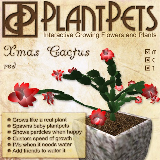 PlantPet Seed [Xmas Cactus *Red*] updated