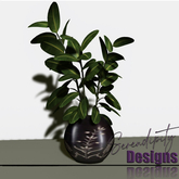 Serendipity Designs - TG BR Potted Plant