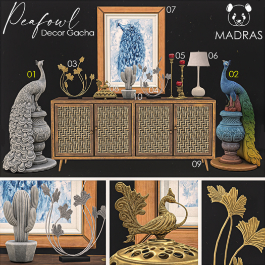 10 MADRAS Cactus Decor (1LI)