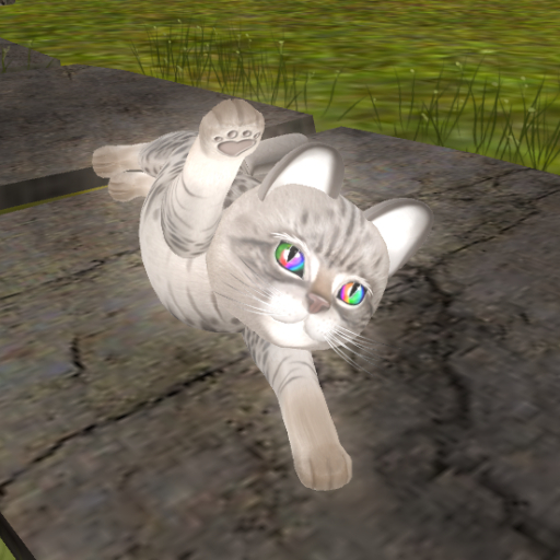 PERMAPET KittyCats - Rajan