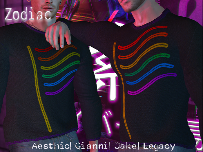 Zodiac Long Sleeve Pride