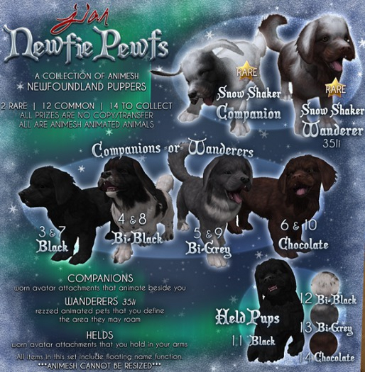 JIAN Newfie Pewfs 11. Black Held BOX