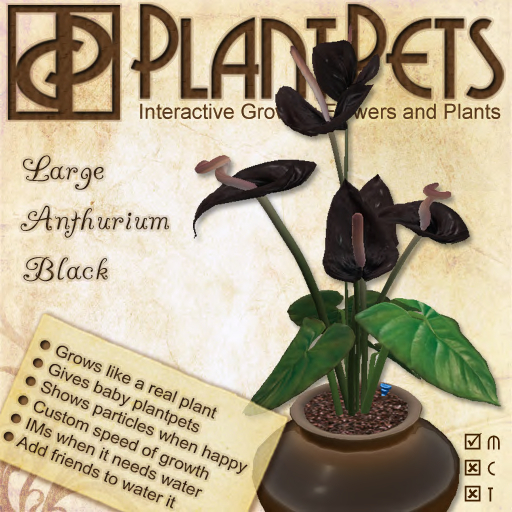 PlantPet Seed [Large Anthurium *Black*]
