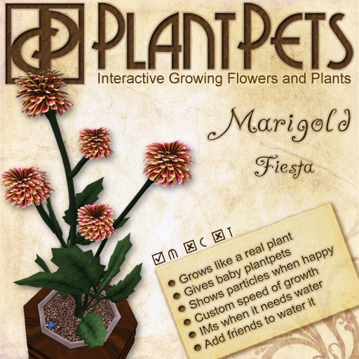 PlantPet Seed [Marigold *Fiesta*]