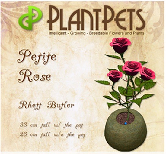 PlantPet Seed [Petite Rose *Rhett Butler*]