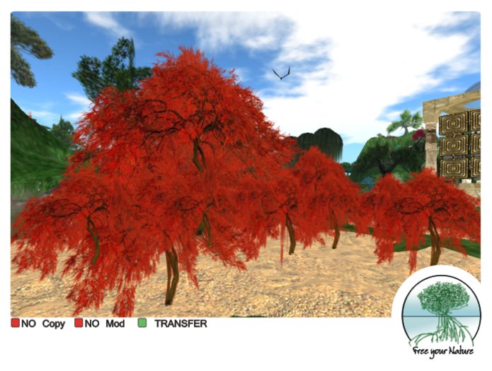 - Red Shrub -