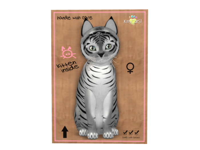 KittyCatS Box - 8 T - F - Tiger! - Shadow