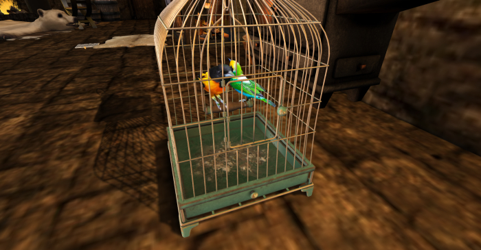 love birds cage