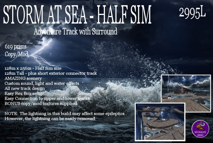 Storm at Sea Rally Track - Half Sim