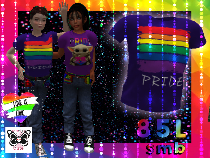 PRIDE shirt-SMB-Synfully Cute