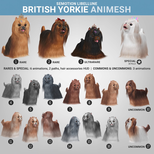 SEmotion Libellune British Yorkie Animesh #2 RARE