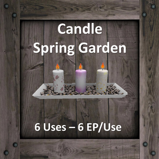 DFS Candle - Spring Garden (Texture)